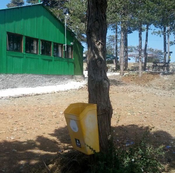 Trash can on a tree