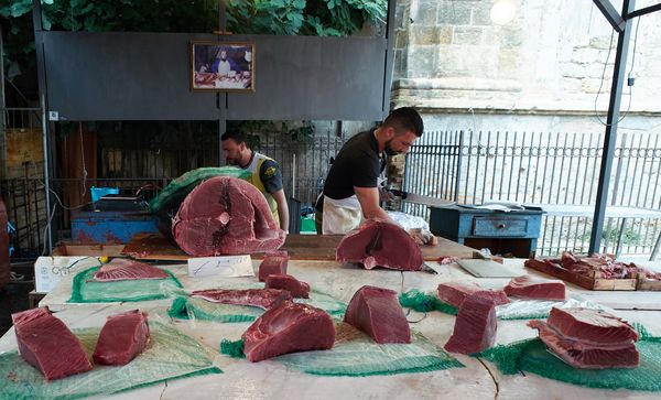 Tuna