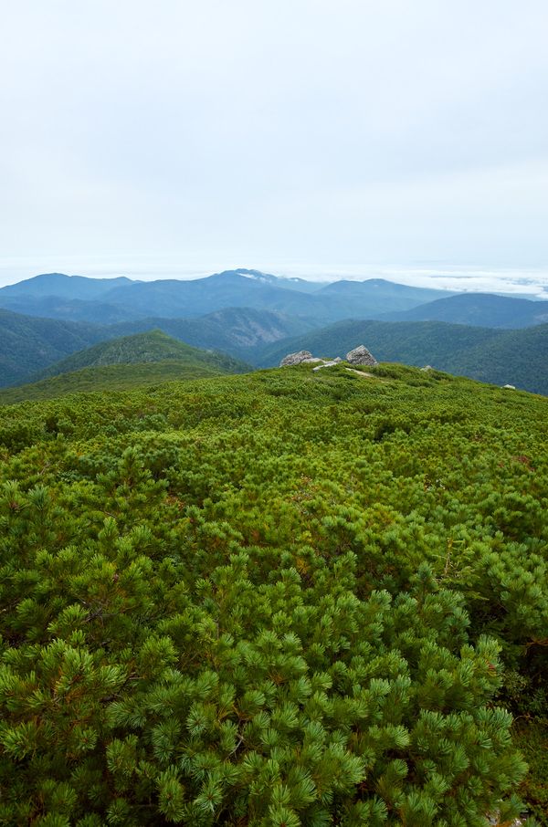 Chekhov Peak